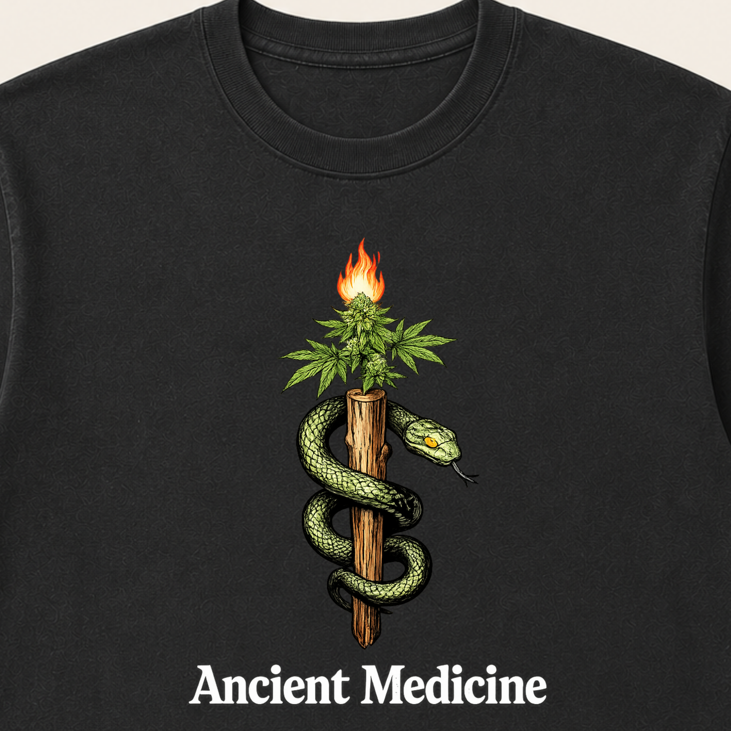Ancient Medicine T-Shirt