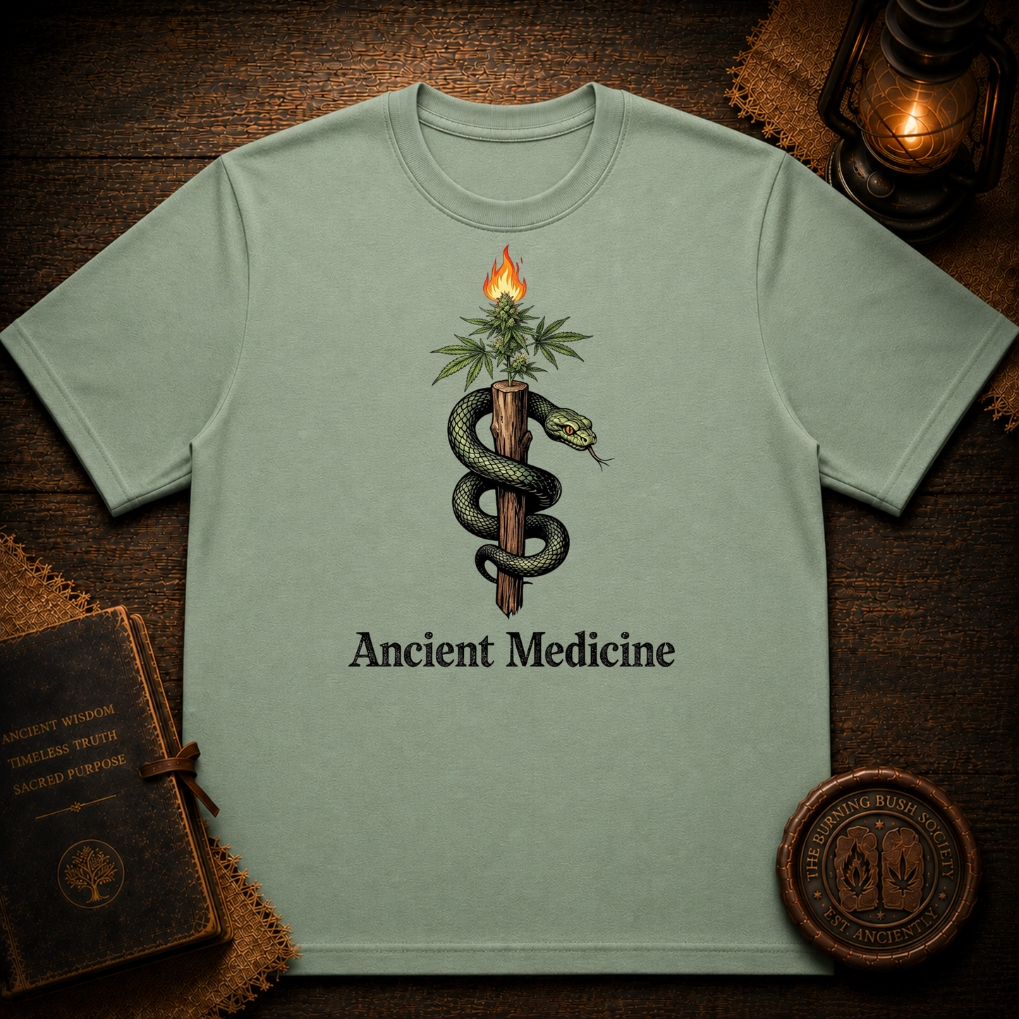 Ancient Medicine T-Shirt